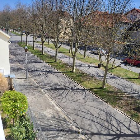 Alleeblick Ballenstedt Esterno foto