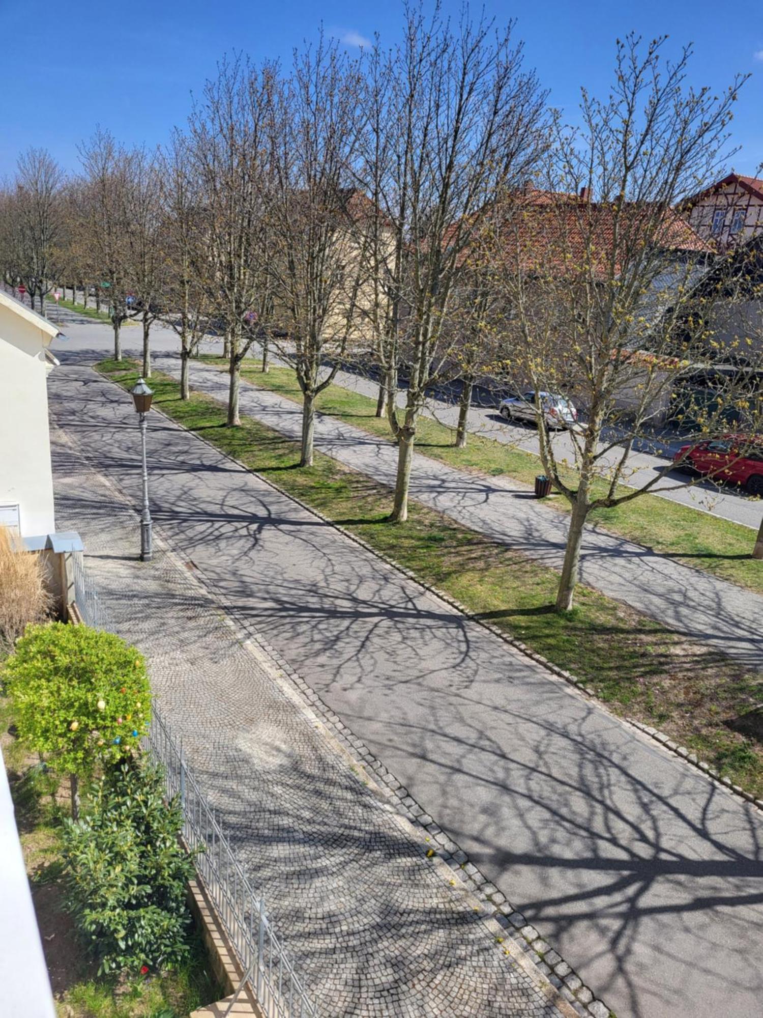 Alleeblick Ballenstedt Esterno foto